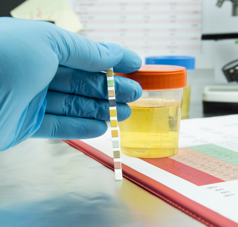 Specialist Cleaning – Using foggers, chemical neutralizers, and triple-clean methods